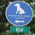 Zaunkoenig