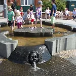 Zaunkoenig *