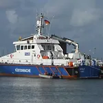 Zaunkoenig * Midlum (Schleswig-Holstein)