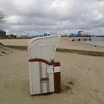 Zaunkoenig Midlum (Schleswig-Holstein)