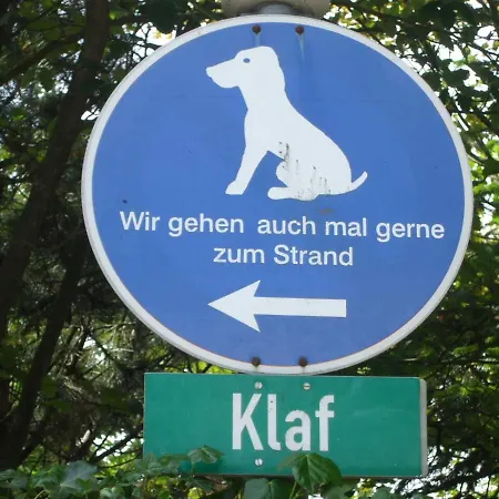Midlum Zaunkoenig
