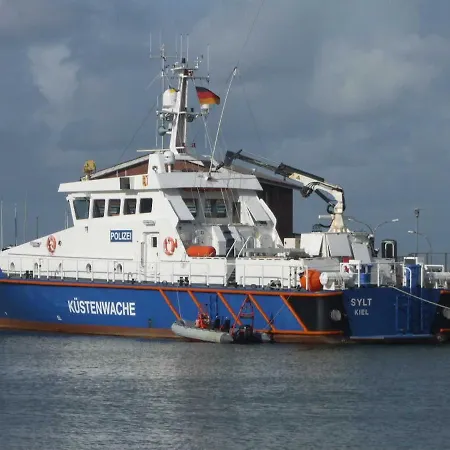Midlum Zaunkoenig * Midlum (Schleswig-Holstein)