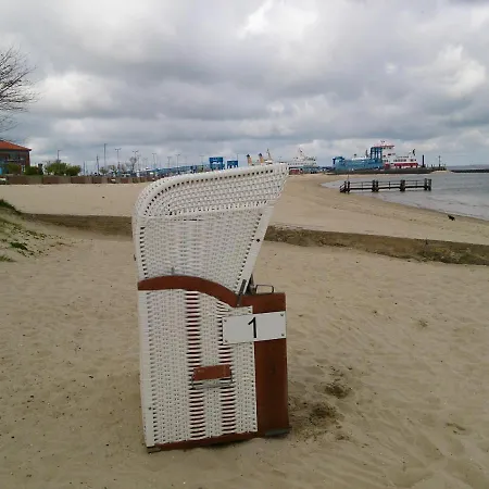 Zaunkoenig Midlum (Schleswig-Holstein)